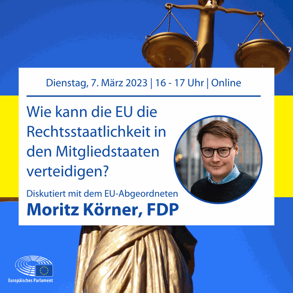 Wie kann die EU die Rechtsstaatlichkeit in den Mitgliedstaaten verteidigen? Gespräch mit dem Europaabgeordneten Moritz Körner